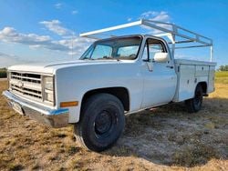 Weiß Gebraucht 1985 Chevrolet C20 Abholung | 18.500 €