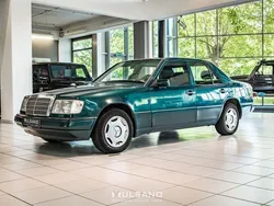 Grün Gebraucht 1988 Mercedes E230 Limousine | 6.300 €