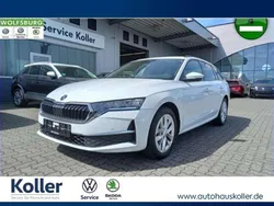 Moonweiß perleffekt Gebraucht 2024 Skoda Octavia Kombi | 26.970 € (Guter Preis)
