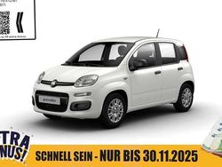 Gelato weiß Neu 2025 Fiat Panda Pop Kleinwagen | 14.990 € (Fairer Preis)