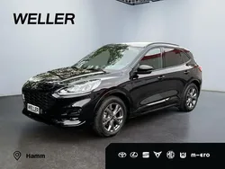 Schwarz Gebraucht 2024 Ford Kuga ST-Line SUV | 25.180 € (Superpreis)