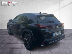 Graphit black Gebraucht 2025 Lexus UX 300h Sport Design Packet SUV | 34.990 € (Superpreis)