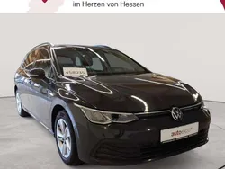 Urano gray Gebraucht 2022 VW Golf VIII Life Kombi | 12.789 € (Guter Preis)