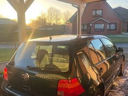 Grün Gebraucht 1999 VW Golf Basis Limousine | 1.700 € (Fairer Preis)