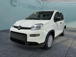 Weiß Neu 2024 Fiat Panda Kleinwagen | 13.499 € (Guter Preis)