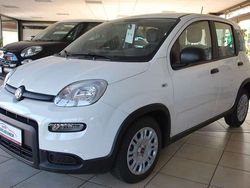 296 / gelato weiß Gebraucht 2024 Fiat Panda Kleinwagen | 14.990 € (Etwas zu teuer)