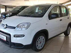 296 / gelato weiß Neu 2024 Fiat Panda Kleinwagen | 15.490 €