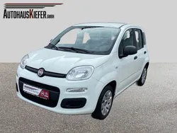 Weiß Gebraucht 2016 Fiat Panda Pop Kleinwagen | 6.790 € (Fairer Preis)