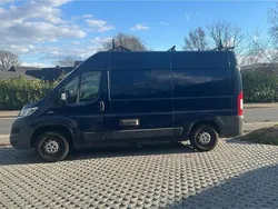 Blau Gebraucht 2014 Fiat Ducato Van | 16.500 € (Teuer)