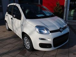 Weiß Neu 2025 Fiat Panda Limousine | 14.880 € (Fairer Preis)