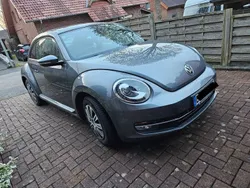 VW Beetle