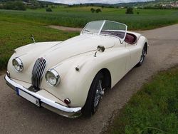 Weiß Gebraucht 1955 Jaguar XK Cabrio | 95.000 €