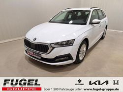 Weiß Gebraucht 2021 Skoda Octavia Ambition Kombi | 21.899 € (Guter Preis)
