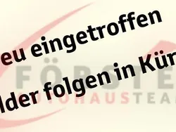 Weiß Neu 2025 DFSK Fengon SUV | 19.690 € (Etwas zu teuer)