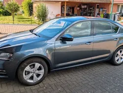 Grau Gebraucht 2019 Skoda Octavia Style Limousine | 13.890 € (Fairer Preis)