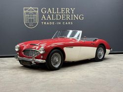 Rot Gebraucht 1961 Austin Healey 3000 MK II Cabrio | 53.500 €