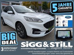 Frostweiß Gebraucht 2022 Ford Kuga ST-Line SUV | 22.250 € (Superpreis)