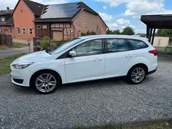 Weiß Gebraucht 2017 Ford Focus Trend Kombi | 7.950 € (Fairer Preis)