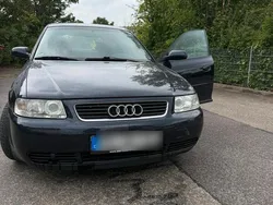 Schwarz Gebraucht 2001 Audi A3 Kleinwagen | 1.700 € (Fairer Preis)