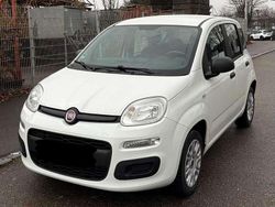 Grau Gebraucht 2011 Fiat Panda Kleinwagen | 3.500 € (Fairer Preis)