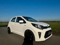 Weiß Gebraucht 2019 Kia Picanto Edition 7 Kleinwagen | 5.500 € (Guter Preis)