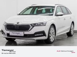Candyweiss Gebraucht 2022 Skoda Octavia Ambition Kombi | 21.450 € (Superpreis)