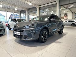 Grau Gebraucht 2025 Cupra Terramar SUV | 32.890 € (Fairer Preis)