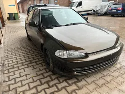 Braun Gebraucht 1992 Honda Civic Limousine | 6.600 €