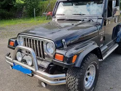 Schwarz Gebraucht 1999 Jeep Wrangler Sahara SUV | 23.250 € (Etwas zu teuer)