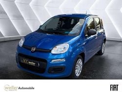 Blau Neu 2025 Fiat Panda Kleinwagen | 14.975 € (Fairer Preis)