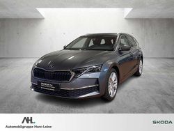 Grau Gebraucht 2024 Skoda Octavia Exclusive Kombi | 33.770 € (Fairer Preis)