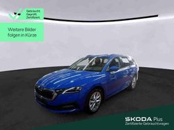 Energyblau Gebraucht 2023 Skoda Octavia Ambition Kombi | 24.730 € (Superpreis)