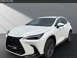 Weiß Neu 2025 Lexus NX350h SUV | 55.990 € (Superpreis)