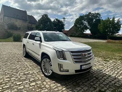 Weiß Gebraucht 2018 Cadillac Escalade SUV | 66.000 €