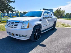 Weiß Gebraucht 2013 Cadillac Escalade SUV | 26.000 €