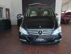 Mercedes Viano