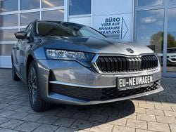 Graphit grau Neu 2025 Skoda Octavia Selection Kombi | 28.890 € (Fairer Preis)