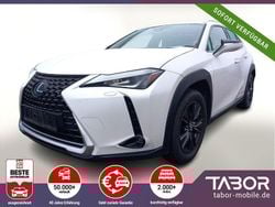 Weiss Gebraucht 2019 Lexus UX 250h Launch Edition SUV | 22.488 € (Fairer Preis)