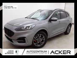 Silber Gebraucht 2024 Ford Kuga ST-Line X SUV | 27.790 € (Fairer Preis)