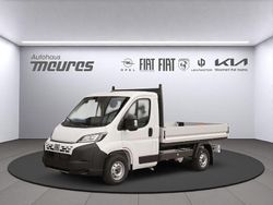 Weiss Neu 2025 Fiat Ducato Van | 34.980 € (Fairer Preis)