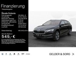 Weiß Gebraucht 2025 Skoda Octavia Tour Kombi | 38.990 € (Etwas zu teuer)