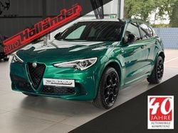 Grün Gebraucht 2022 Alfa Romeo Stelvio Quadrifoglio SUV | 58.740 € (Teuer)