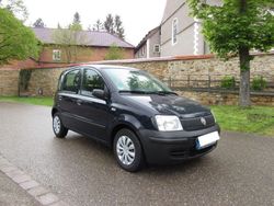 Blau Gebraucht 2010 Fiat Panda Kleinwagen | 1.999 € (Fairer Preis)