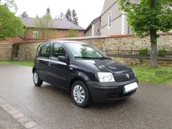 Blau Gebraucht 2010 Fiat Panda Kleinwagen | 1.999 € (Fairer Preis)