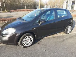 Schwarz Gebraucht 2012 Fiat Punto Evo Kleinwagen | 2.799 € (Fairer Preis)