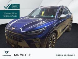 Blau Gebraucht 2025 Cupra Terramar SUV | 31.890 € (Fairer Preis)