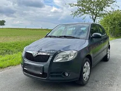 Grau Gebraucht 2009 Skoda Fabia Kleinwagen | 3.800 € (Fairer Preis)