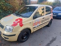 Gelb Gebraucht 2009 Fiat Panda Kleinwagen | 1.000 € (Guter Preis)