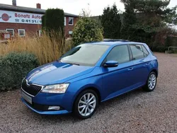Blau Gebraucht 2021 Skoda Fabia Ambition Kleinwagen | 14.480 € (Fairer Preis)