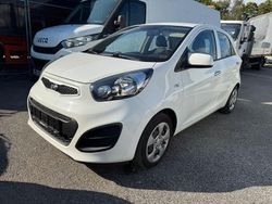 Weiß Gebraucht 2014 Kia Picanto Edition 7 Kleinwagen | 4.999 € (Teuer)